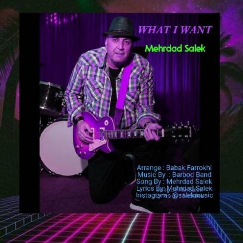 دانلود آهنگ جدید What I Want مهرداد سالک