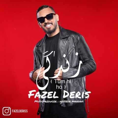 دانلود آهنگ جدید زندگی فاضل دریس