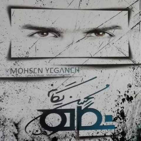 محسن یگانه پرنده