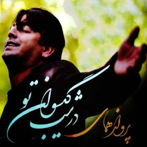 پرواز همای باز هوایی شدی