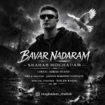 دانلود آهنگ شهاب مقدم باور ندارم (دلی)